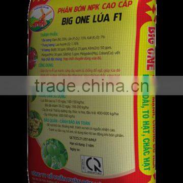 BIG ONE FOR RICE photo-3