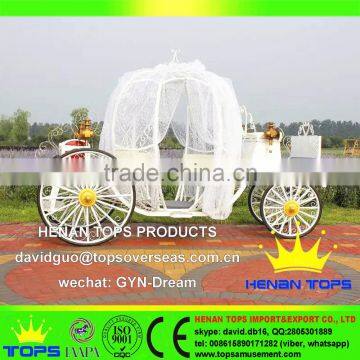 Luxury Baby Princess Horse Pumpkin Wedding Cinderella Carriage photo-2