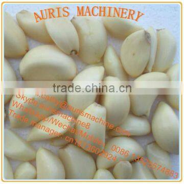 China Manufacutre Widely Electric Garlic Peeler Machine for Sale photo-2