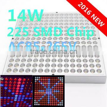 Hot 2016 High quality led grow light 14w SMD 225