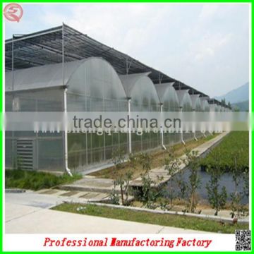 Hot sale single-span/multi-span plastic film greenhouse for agriculture