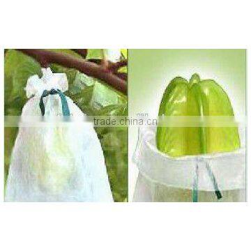 100% pp Spunbond Non Woven Agriculture Banana Bags photo-2
