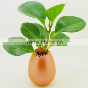 UV oil coated colorful shell planter from oem factory