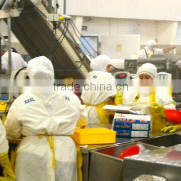 HOSO /HLSO Vanamei White Shrimp photo-5