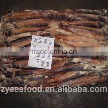 Hot Selling Frozen Argentina Squid photo-3