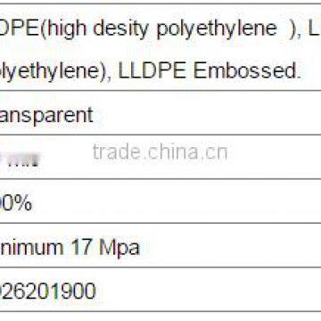 DDSAFETY Wholesale Hot Sale PE Disposable Glove