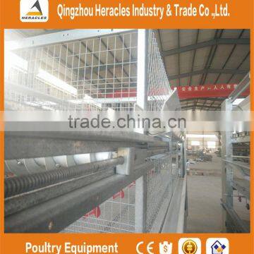 China Factory Price Trade Assurance Chicken Poultry Farm Equipment Layer Cage photo-3