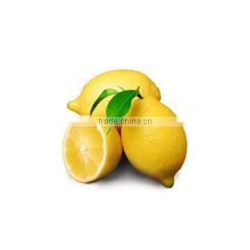 NATURAL DREID LEMON POWDER photo-4