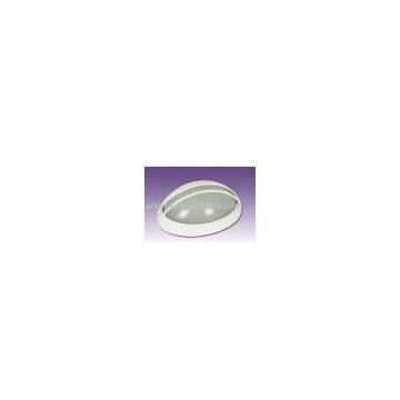 BULKHEAD LIGHT