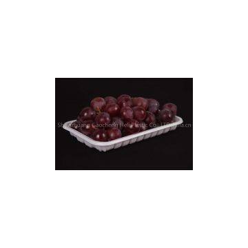 plastic food tray fruit packaging