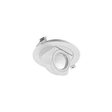 Gimbal Downlight
