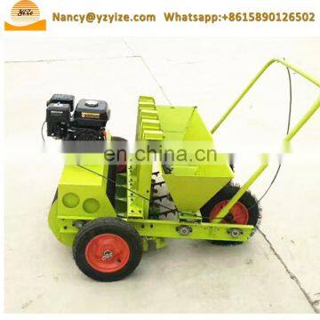 Professional and Practical Garlic Seed Drill Planter Machine Garlic Seeding Machine photo-6