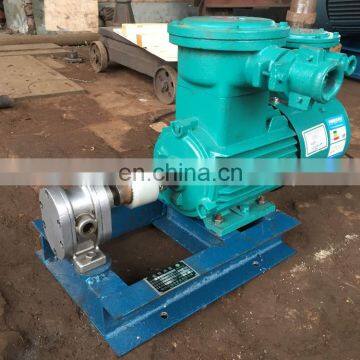 Boiler Ignition Diesel Oil Gear Pump photo-5
