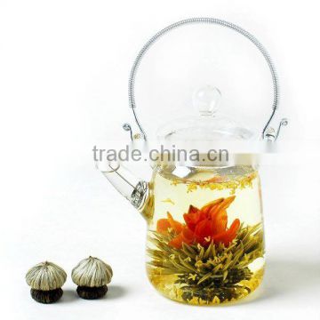 Top Famous Flower Blooming Tea Fairy Lily