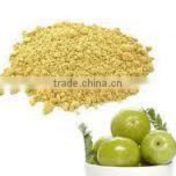 Superior quality Bhoomi Amla powder for OEM manufacturing