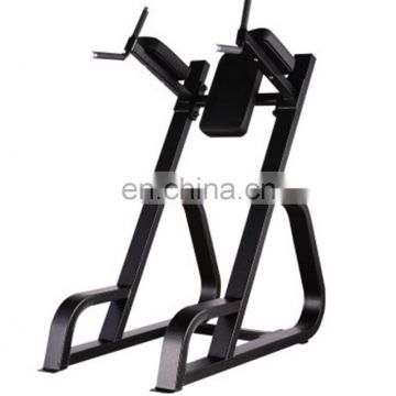 Professional Precor Fitness Exercise Machine Vertical Knees UP/DiP In Gym SP34