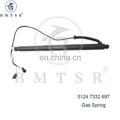 BMTSR Brand Gas Spring Fit For X6 E71 E72 OE:5124 7332 697 51247332697