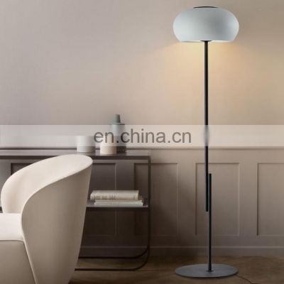 HUAYI Energy Saving Living Room Movable Iron Aluminum LED Adjustable Classic Floor Lamp