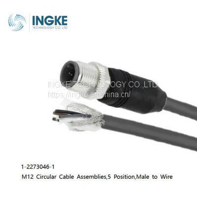 1-2273046-1,M12 Circular Cable Assemblies,5 Position,Male to Wire,Shielded,INGKE