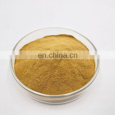 Wholesale Shiitake Mushroom Extract Powder 30% Polysaccharides