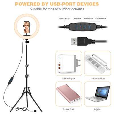 12in Photography LED Selfie Ring Light Three-speed Stepless Lighting Dimmable With Cradle Head For Makeup Video Live Studio photo-4