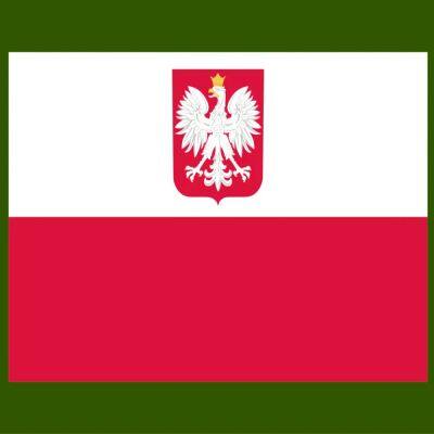 Sea, air, railway, and truck transportation services from China to Poland Amazon FBA Service