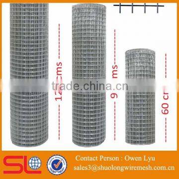 Galvanized Aviary Wire Mesh ( ISO 9001 Factory) photo-3