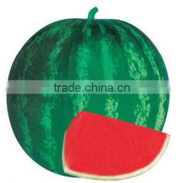 ZK1 chinese triploid seedless watermelon seeds