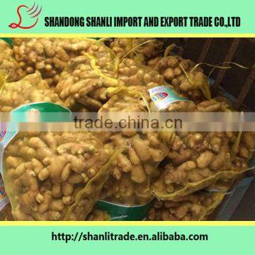 Fresh Ginger/Air Dry Ginger-well Chosen for Any Market photo-2