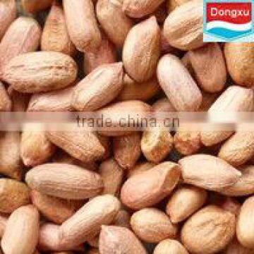 organic peanuts long type