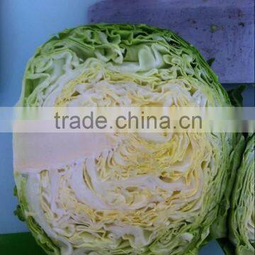 fresh green cabbage