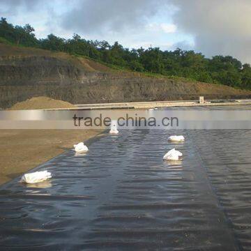 Good Sale Cheap Hdpe Sewage Geomembrane for Waterproof photo-3