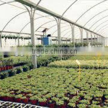 plastic film for greenhouse