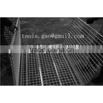 Collapsible galvanzied wire mesh container