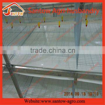 Top Quality Automatic Poultry Broiler Cage for Nigeria Farm photo-5