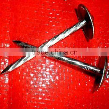 Kenya Market Best Quanlity Roofing Nails photo-6