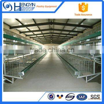 Hot Selling in South Africa A Type Layer Cage for Sale photo-5