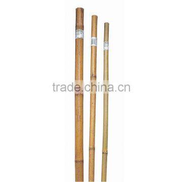 Bamboo Stake - Tonkin bamboo cane