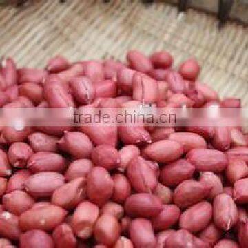 Red Skin Peanut Kernels With Good Quality for Sale photo-3