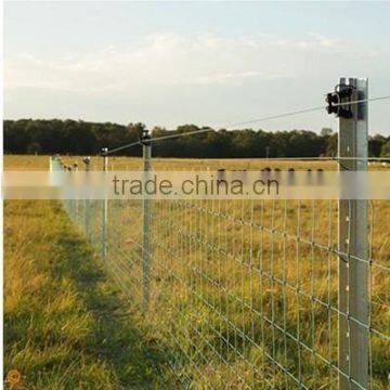 Beijing Hinge Wire Joint and Y post star picket for Australia