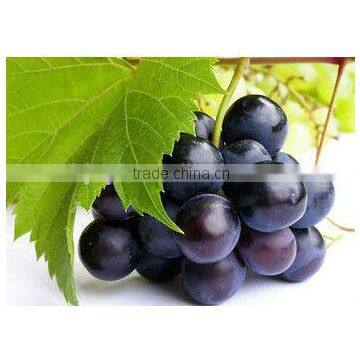 Grape skin extract powder and liquid , Natural red food coloring