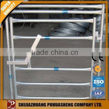 Top quality house main iron square tube gate designs(factory & trader)