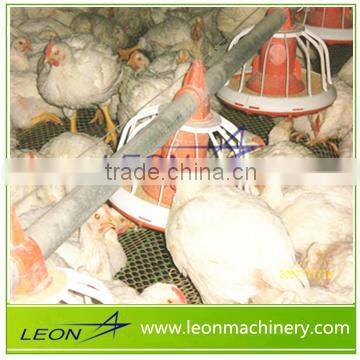 LEON series most popular chicken feeder whole automatic equipment