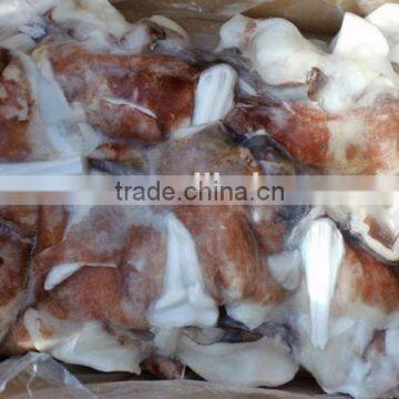 frozen giant squid neck low fat low sodium