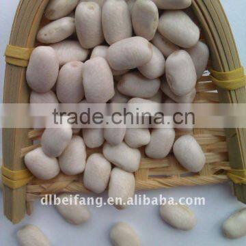 Organic White Beans( 2011 crop, heilongjiang origin. hps quality)