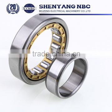 Cylindrical Roller Bearings RN205 Brass Cage Double Row Eccentric Bearing RN205M