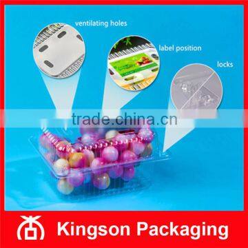 Disposable Clear Plastic Packaging Box for Fruit