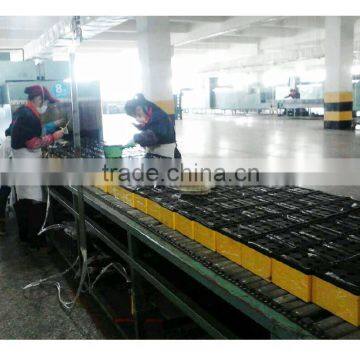 Escooter 12v 12ah E-bike 12 Volt 6-dzm-12 Agm Vrla Sealed Lead Acid Battery photo-6