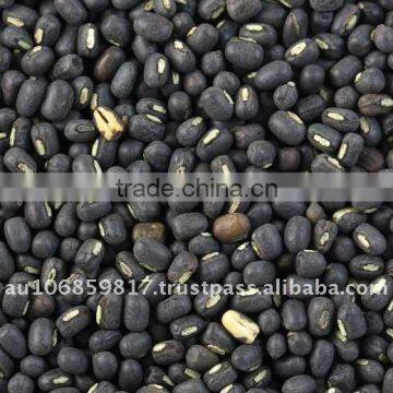 URAD WHOLE