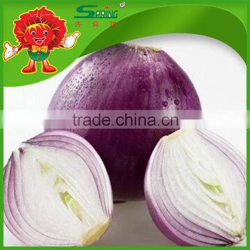 50mm size red onion high quaity fresh red and Yellow onion no rotten